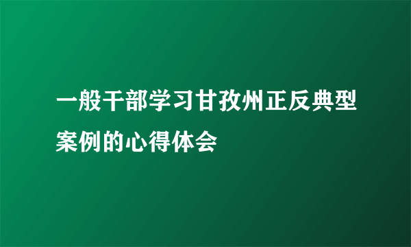 一般干部学习甘孜州正反典型案例的心得体会