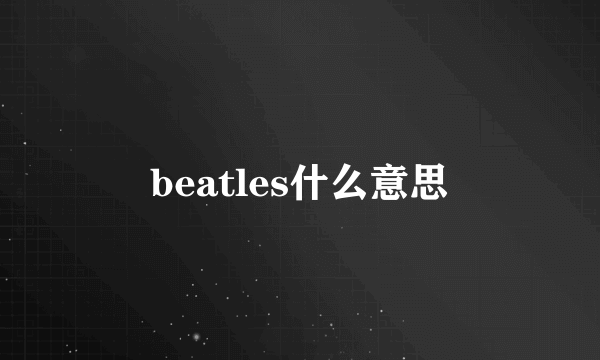 beatles什么意思