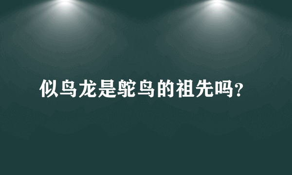 似鸟龙是鸵鸟的祖先吗？