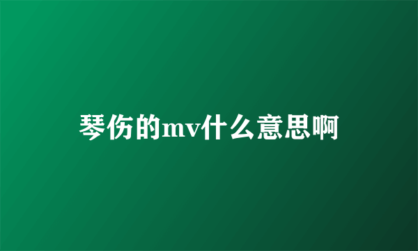 琴伤的mv什么意思啊