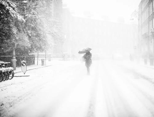 东北将出现大范围特大暴雪，此次大暴雪为何来的如此猛烈？