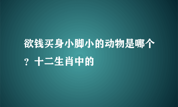 欲钱买身小脚小的动物是哪个？十二生肖中的