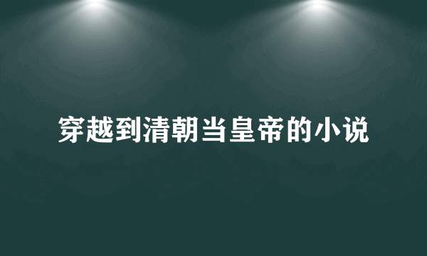 穿越到清朝当皇帝的小说