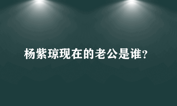 杨紫琼现在的老公是谁？