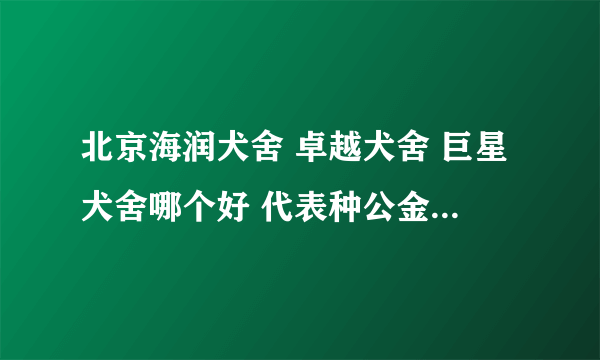 北京海润犬舍 卓越犬舍 巨星犬舍哪个好 代表种公金毛是什么