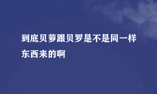 到底贝萝跟贝罗是不是同一样东西来的啊