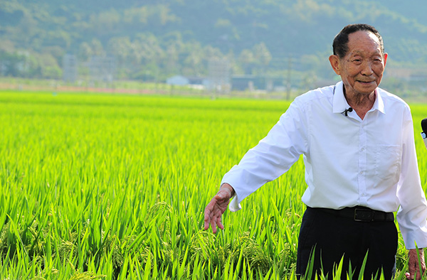 袁隆平雕像前布满花海，市民围满整个长沙城，他为何会深受人民爱戴？