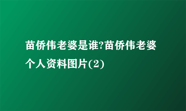 苗侨伟老婆是谁?苗侨伟老婆个人资料图片(2)