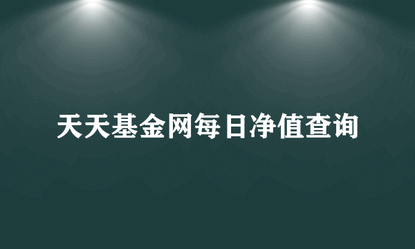 天天基金网每日净值查询