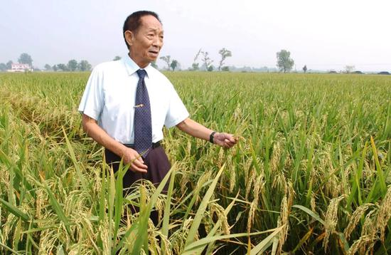 袁隆平雕像前布满花海，市民围满整个长沙城，他为何会深受人民爱戴？