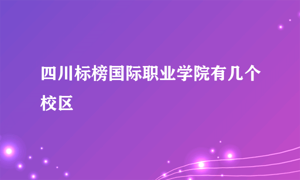 四川标榜国际职业学院有几个校区