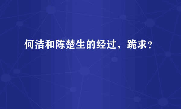 何洁和陈楚生的经过，跪求？