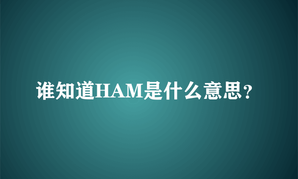 谁知道HAM是什么意思？