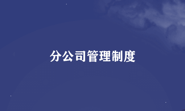 分公司管理制度