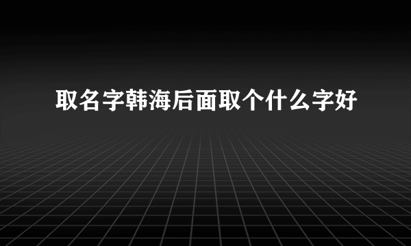 取名字韩海后面取个什么字好