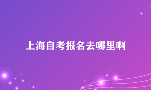 上海自考报名去哪里啊