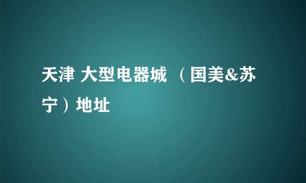 天津 大型电器城 （国美&苏宁）地址