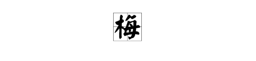 “梅”字的意思是什么？