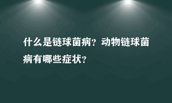 什么是链球菌病？动物链球菌病有哪些症状？