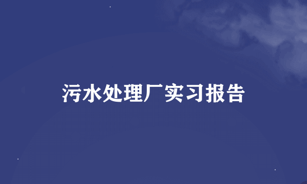 污水处理厂实习报告