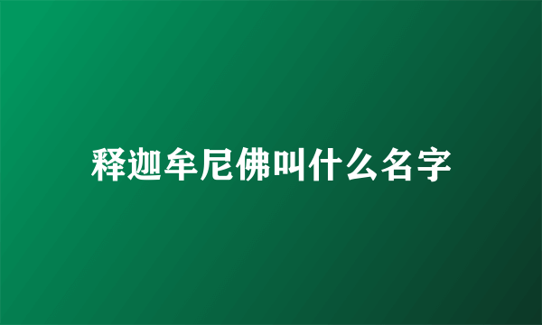 释迦牟尼佛叫什么名字