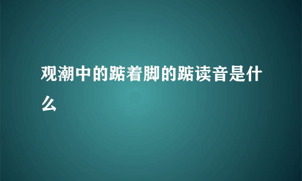 观潮中的踮着脚的踮读音是什么