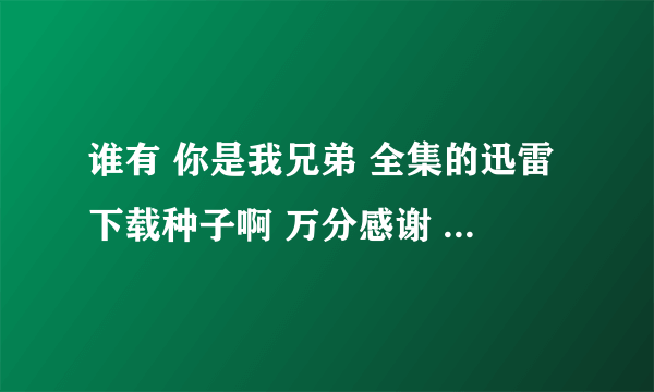 谁有 你是我兄弟 全集的迅雷下载种子啊 万分感谢 一定要能用