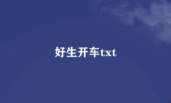 好生开车txt