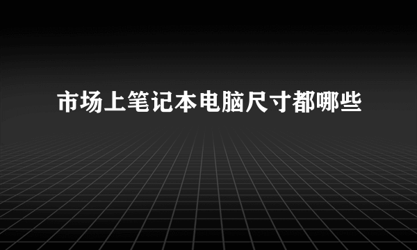 市场上笔记本电脑尺寸都哪些