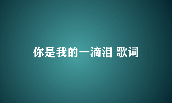 你是我的一滴泪 歌词